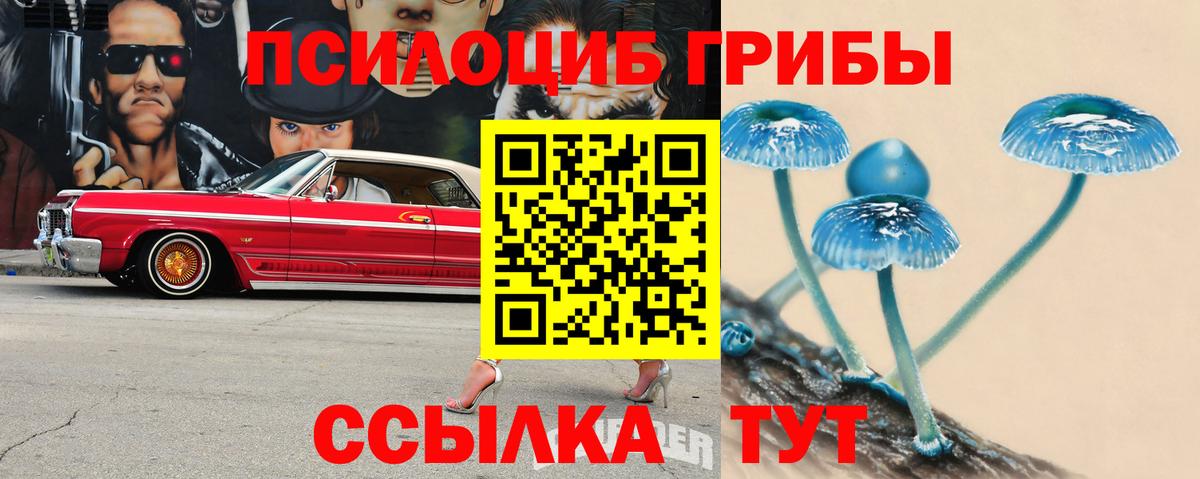 Меф МЯУ МЯУ   LSD-25  Вход с VPN  ТГК  ГАШИШ  Кокаин  Конопля  Луховицы  НБОМе 