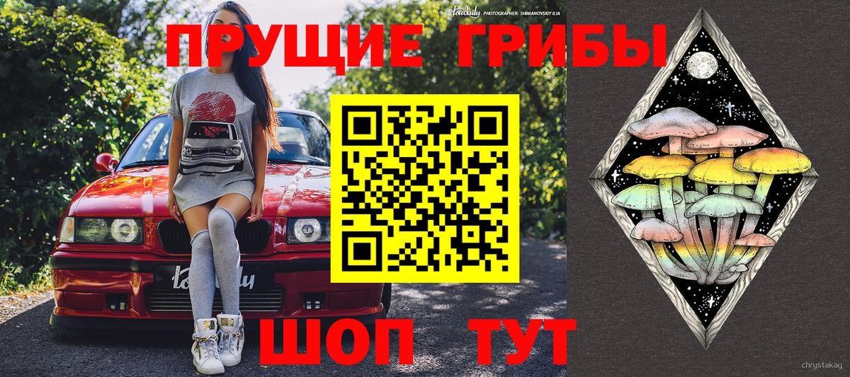 Псилоцибиновые грибы GOLDEN TEACHER Луховицы